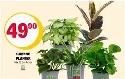 Coop Extra GRØNNE PLANTER, NOK 49.9 tilbud