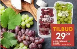 Coop Mega RØDE/GRØNNE DRUER, NOK 29.9 tilbud