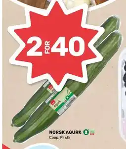 Matkroken NORSK AGURK, NOK 40 tilbud