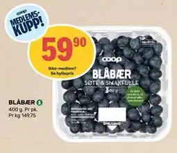 Matkroken BLÅBÆR, Medlemspris tilbud