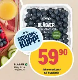 Matkroken BLÅBÆR, Medlemspris tilbud