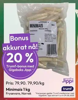 Gigaboks Minimais 1 kg tilbud