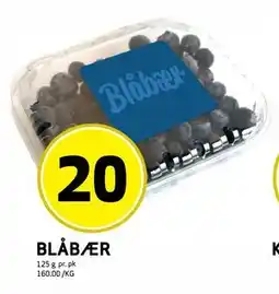 Bunnpris BLÅBÆR, NOK 20 tilbud