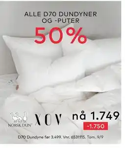 Skeidar ALLE D70 DUNDYNER OG -PUTER, NOK 1750 tilbud