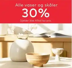 Skeidar Alle vaser og skåler tilbud