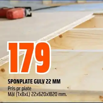 Coop Obs SPONPLATE GULY 22 MM tilbud