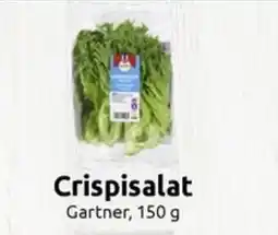 Joker Crispisalat Gartner, tilbud
