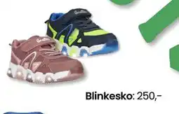 Sport Outlet Blinkesko, NOK 250 tilbud