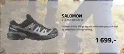 Sport 1 SALOMON X ULTRA 360 GTX W tilbud