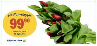 Coop Prix Tulipaner 15 stk tilbud