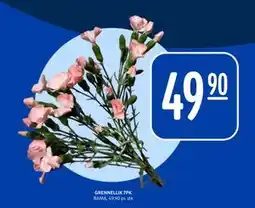 Rema 1000 GRENNELLIK 7PK, NOK 49.9 tilbud