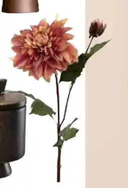Kremmerhuset Stilkblomst, NOK 199 tilbud