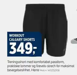 Sport 1 WORKOUT CALGARY SHORTS, NOK 349 tilbud
