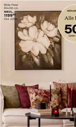 Kremmerhuset Bilde Petal 80x100 cm, Medlemspris tilbud