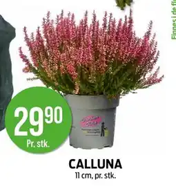 Kiwi CALLUNA, NOK 29.9 tilbud