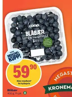 Coop Mega Blåbær, Medlemspris tilbud