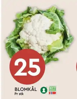 Coop Mega BLOMKÅL, NOK 25 tilbud