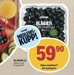 Matkroken BLÅBÆR, Medlemspris tilbud