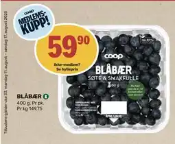 Matkroken BLÅBÆR, Medlemspris tilbud