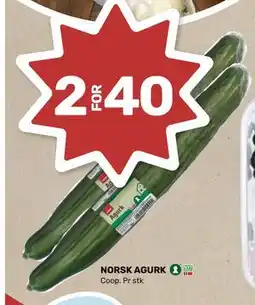 Matkroken NORSK AGURK, NOK 40 tilbud