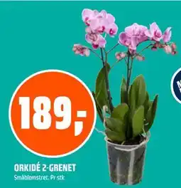 Coop Obs ORKIDÉ 2-GRENET, NOK 189 tilbud