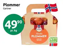 Joker Plommer, NOK 49.9 tilbud