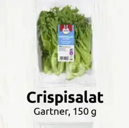 Joker Crispisalat, NOK 49.9 tilbud