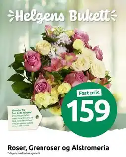 Joker Roser, Grenroser og Alstromeria, NOK 159 tilbud