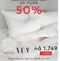 Skeidar D70 Dundyne, NOK 1750 tilbud
