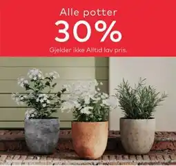 Skeidar Alle potter tilbud