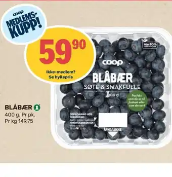 Coop Marked BLÅBÆR tilbud