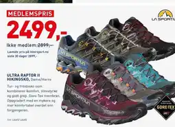 Intersport ULTRA RAPTOR II HIKINGSKO, Dame/Herre tilbud