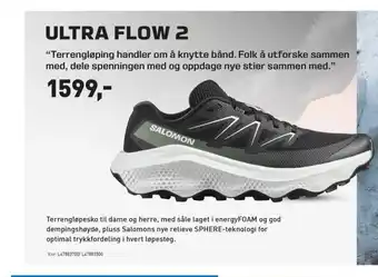 Intersport ULTRA FLOW 2 tilbud
