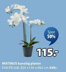 JYSK MATINUS kunstig plante, NOK 115 tilbud