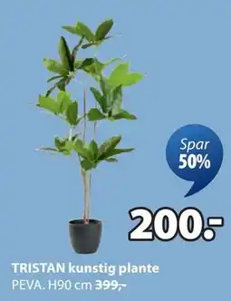 JYSK TRISTAN kunstig plante, NOK 200 tilbud