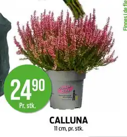Kiwi CALLUNA, NOK 24.9 tilbud