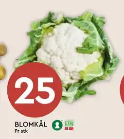 Coop Mega BLOMKÅL, NOK 25 tilbud