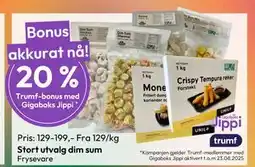 Gigaboks Stort utvalg dim sum tilbud