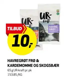 Bunnpris HAVREGRØT FRØ & KARDEMOMME OG SKOGSBÆR, NOK 10 tilbud