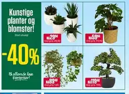 Europris Kunstige planter og blomster! tilbud