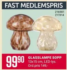 Europris GLASSLAMPE SOPP, Medlemspris tilbud