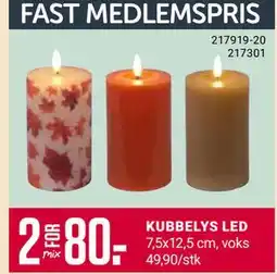 Europris KUBBELYS LED, Medlemspris tilbud