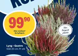Coop Prix Lyng - Quatro tilbud