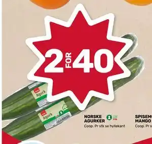 Matkroken NORSKE AGURKER, NOK 40 tilbud