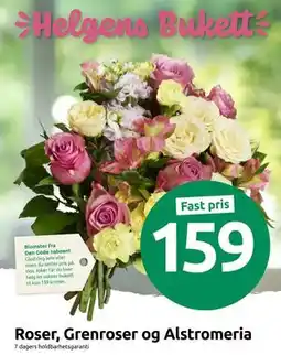 Joker Roser, Grenroser og Alstromeria, NOK 159 tilbud