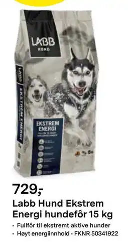 Felleskjøpet Labb Hund Ekstrem Energi hundefôr 15 kg, NOK 729 tilbud