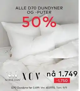 Skeidar ALLE D70 DUNDYNER OG -PUTER tilbud