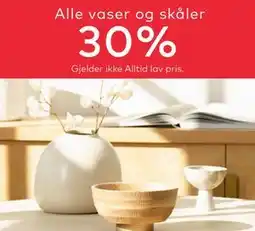 Skeidar Alle vaser og skåler - 30% tilbud