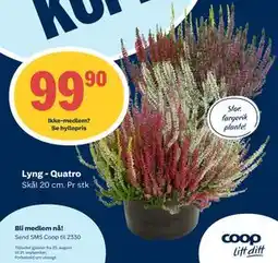 Coop Prix Lyng - Quatro, Medlemspris tilbud