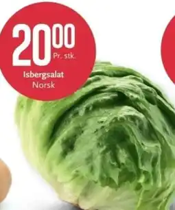 CC Mat Isbergsalat Norsk tilbud